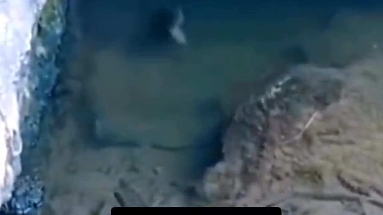 😨👻 Horror and Mystery: What's Lurking in the Shadows? | TheHauntingHour