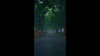 Velvet Horizon – soft edges of endless night.