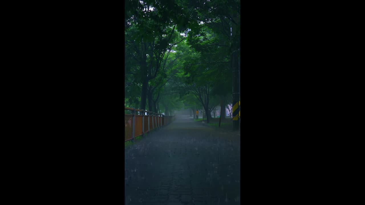 Velvet Horizon – soft edges of endless night.