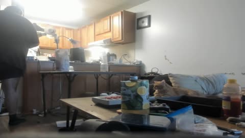 Some NIGGER stole my front trike wheel!/My parents used METH to "test" me/My dad and Rich Uncle are DISEASEDBeing told to let grandma starve me/Tarantino fan edits/I'm not allowed to have an opinion in therapy... What Chris says goes...