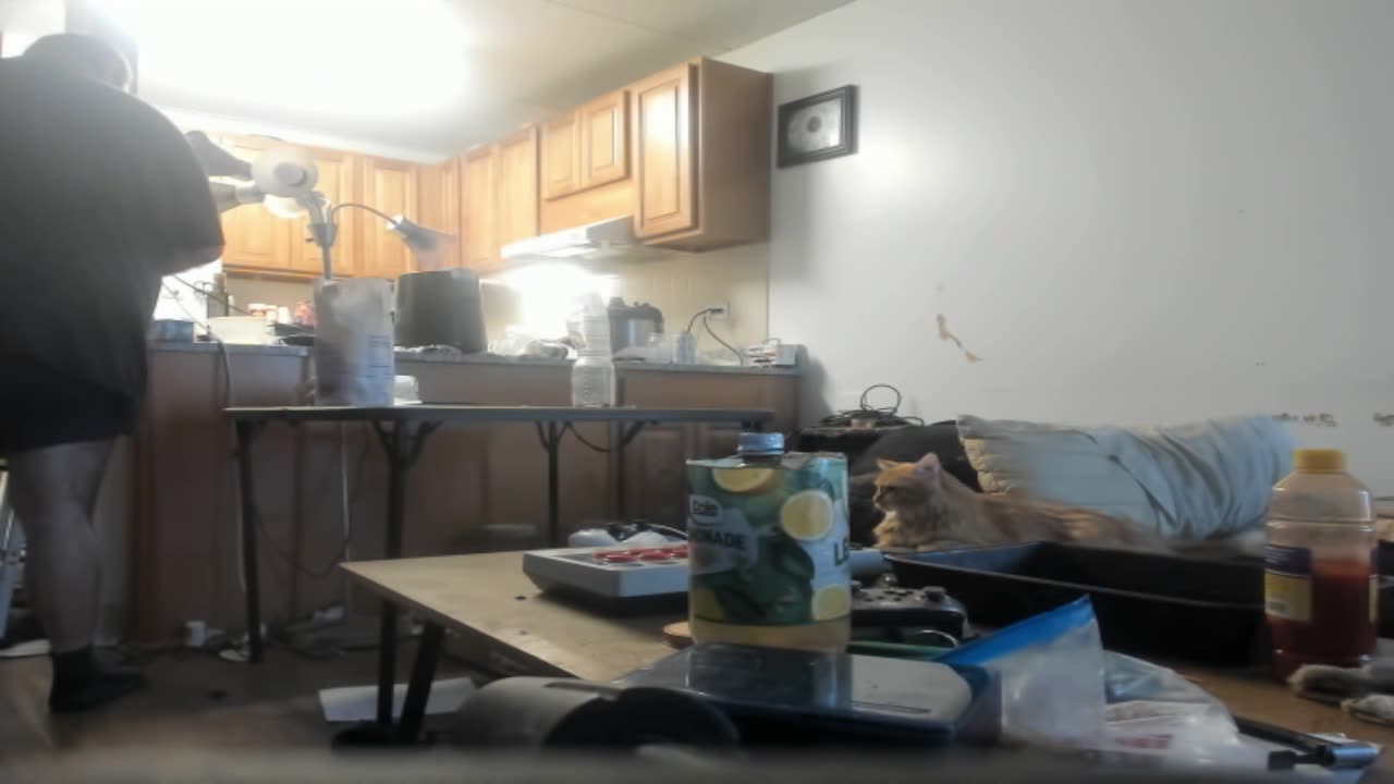 Some NIGGER stole my front trike wheel!/My parents used METH to "test" me/My dad and Rich Uncle are DISEASEDBeing told to let grandma starve me/Tarantino fan edits/I'm not allowed to have an opinion in therapy... What Chris says goes...