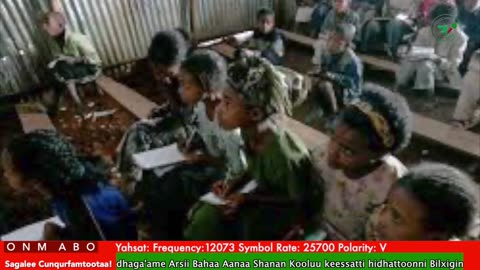 Oduu Waaree ONM-ABO Onkoloolessa 15-2025 itti dhiyaadhaa!