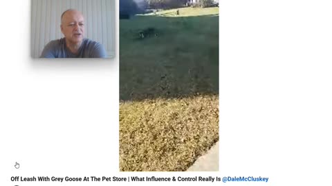 The Anti Dog Trainer - Control and Influence takes a Walk - Pt 4