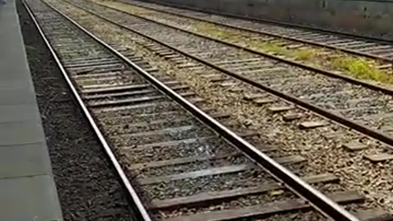 Rajarata Rejina 🚊 #shorts