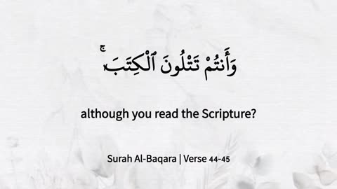 "Practice What You Preach: Quranic Wisdom"
