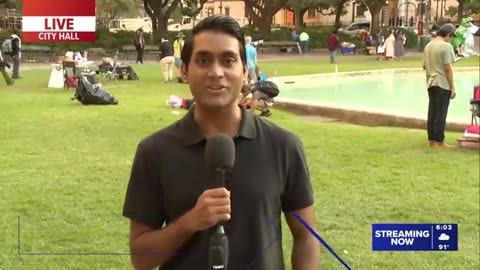 Thousands march through downtown Houston in 'No Kings' protest, one of many around the country