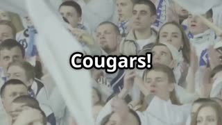BYU Football – Tradition, Passion, Glory | Cougars Football Legacy