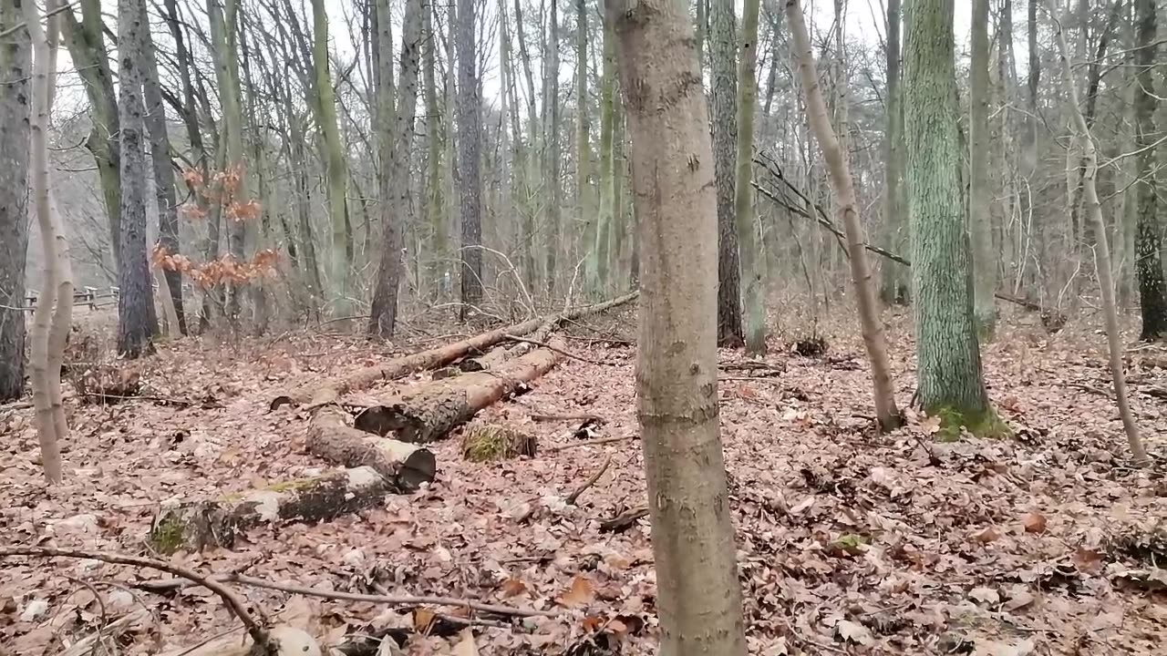 czasami wystarczy...