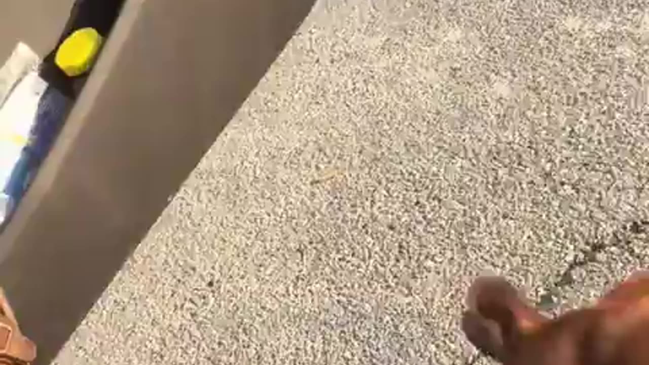 😂🤯 You Won't Believe What My Dog Was Doing! | FunFM