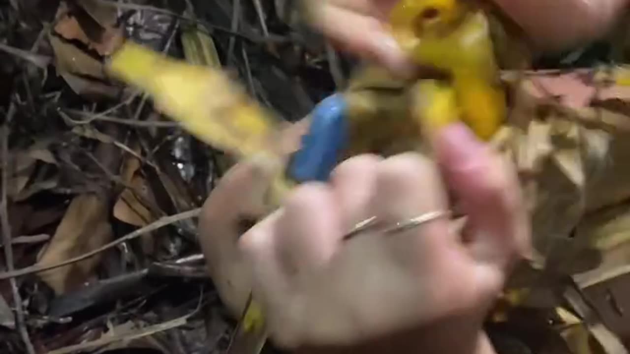 Could you imagine tracking it here๐ณ๐