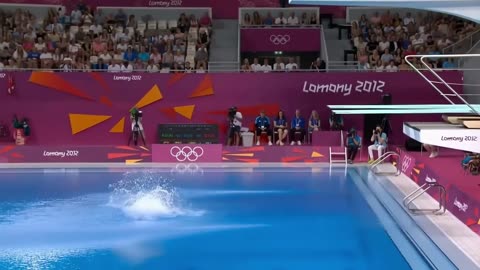Guess Which Dog Will Be The Next Fnalist 1? Animal Olympics