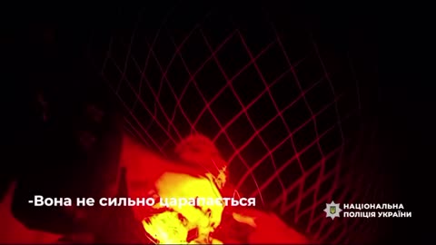 Ukrainian Soldiers Rescue Owl Stuck in Anti-Drone Netting