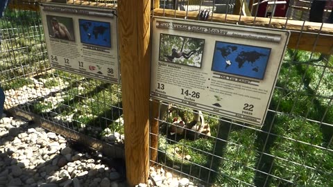 Mowgli making sounds! Vocally expressing his joy over his new toy...hey that rhymes!