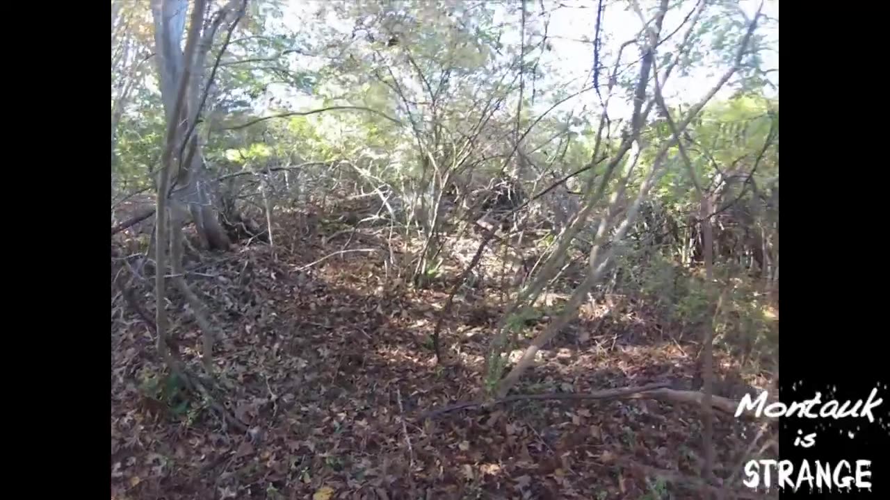 Camp Hero Montauk in the Autumn the End of the Beginning