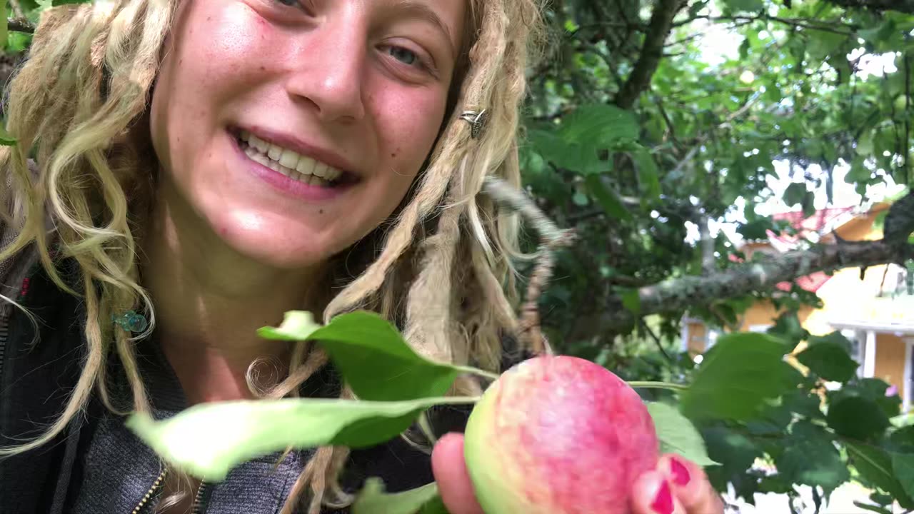 Free apples🍎end of summer treats in Sweden