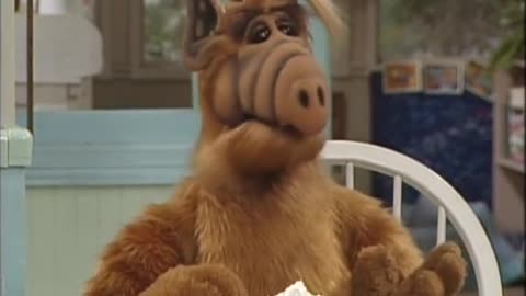 CLASSIC TELEVISION " ALF " ALIEN LIFE FORM