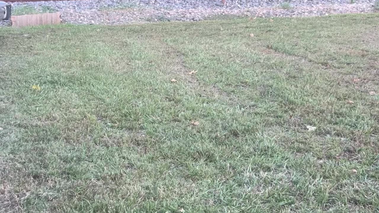 Drunk Guy Touches the Train