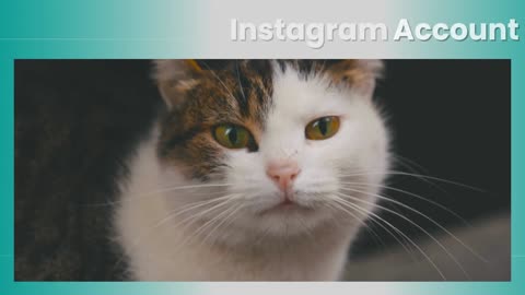 Buy And Sell Instagram Accounts Safe & Quick