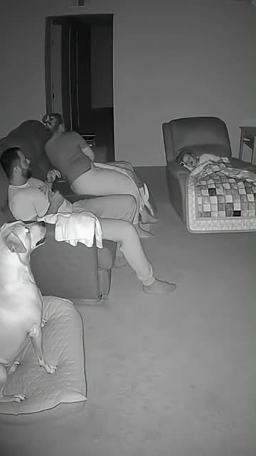 Midnight mystery caught on Camera 👀🐕 CaughtonRingCamera #paranormal #scary #jumpscare