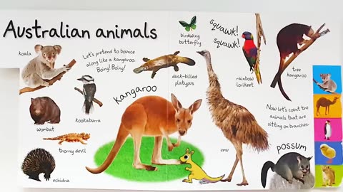 My First Animals Book |Learn animals for kids with Gitte - Read Aloud Book for toddlers -First words