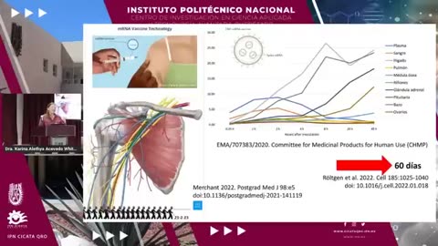 Efectos del ARNm sintético sobre la salud.