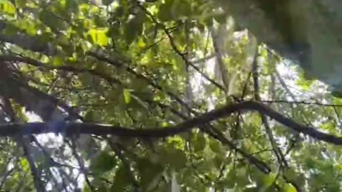 Ukraine war combat footage/related 1/10/26