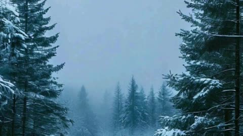 सर्दी में काजू खाने के तीन ज़बरदस्त फायदेhealth #trend #short #facts #viral #reels