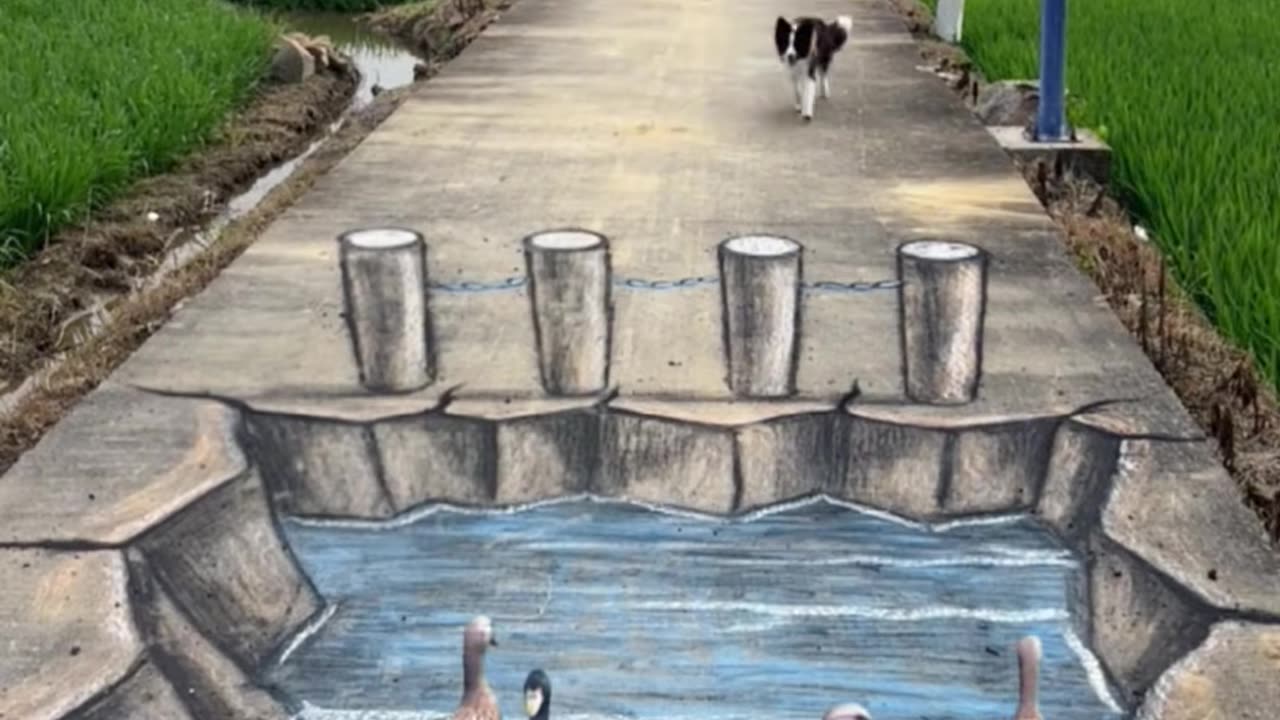 💡✨ Transform Your Routine with This Simple Trick! | LifeHacksDaily