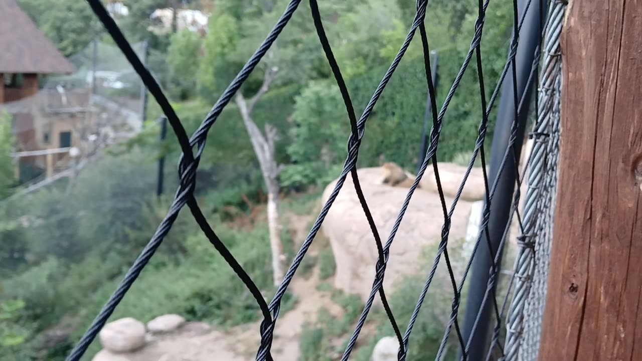 Cheyenne Mountain Zoo Part 17