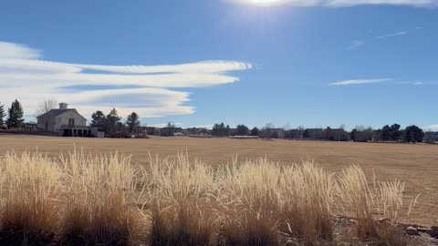 nice day at the park outside