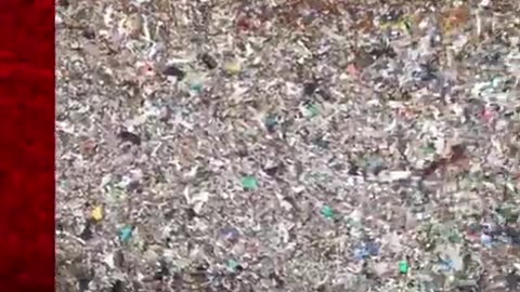 I valori dell'Occidente.