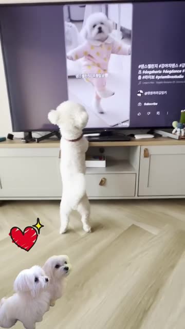 I’M YOUR BIGGEST😋 FAN