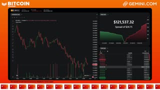 LIVE: BITCOIN BULL MARKET WATCH PARTY FEAT. GEMINI