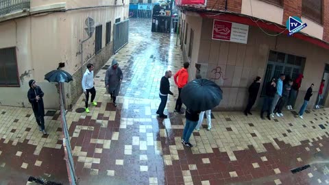 2 TORO TARDE 11oct SERVIDITO ganaderia EL PILAR N 72 | FESTES DEL ROSER 2025