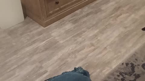 Audiobook recording part 6, chapters 31-36