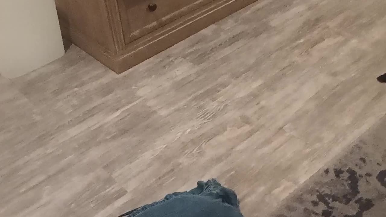 Audiobook recording part 6, chapters 31-36