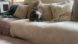 mood reading vlog | book mail | litfic, fantasy, thriller