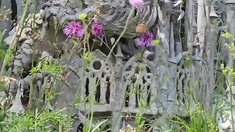 ✨🌳 Swiss Sculptor Builds Terracotta City in Forest Over 3 Years | FeedMyCuriosity