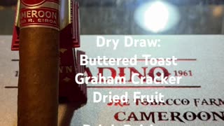 Cameroon (Aladino) 6x52 Super Toro #CigarOfTheDay #Shorts #Short #CigarReview #Review