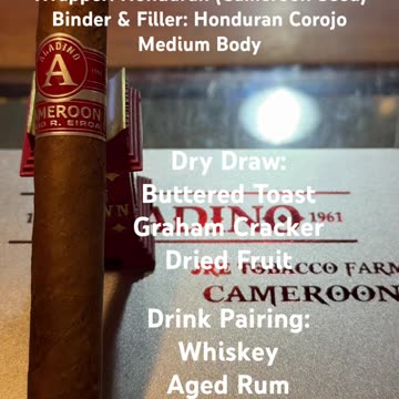 Cameroon (Aladino) 6x52 Super Toro #CigarOfTheDay #Shorts #Short #CigarReview #Review