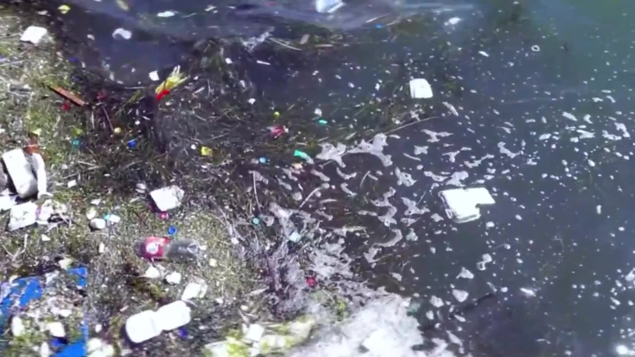 The Great Pacific Garbage Patch