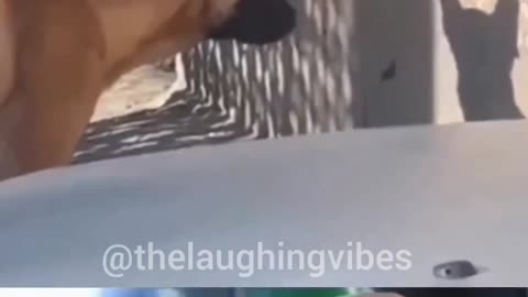 😁