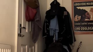 😂🤦♂️ Wait Until You See This Epic Fail! | FunFM