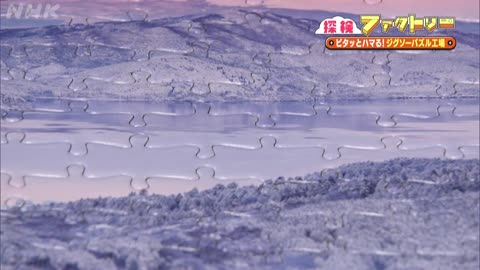 探検ファクトリー 埼玉ジグソーパズル工場 何と！全ピース違う形 美しく切る技術