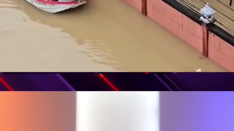 Humans save a cat trying to survive the floods in Thailand 🙏🌊🐈