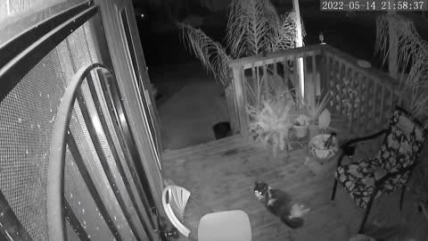 😱👻 Someone Walks Up Stairs?! SO and I heard "someone" walk up our stairs and this is what the camera