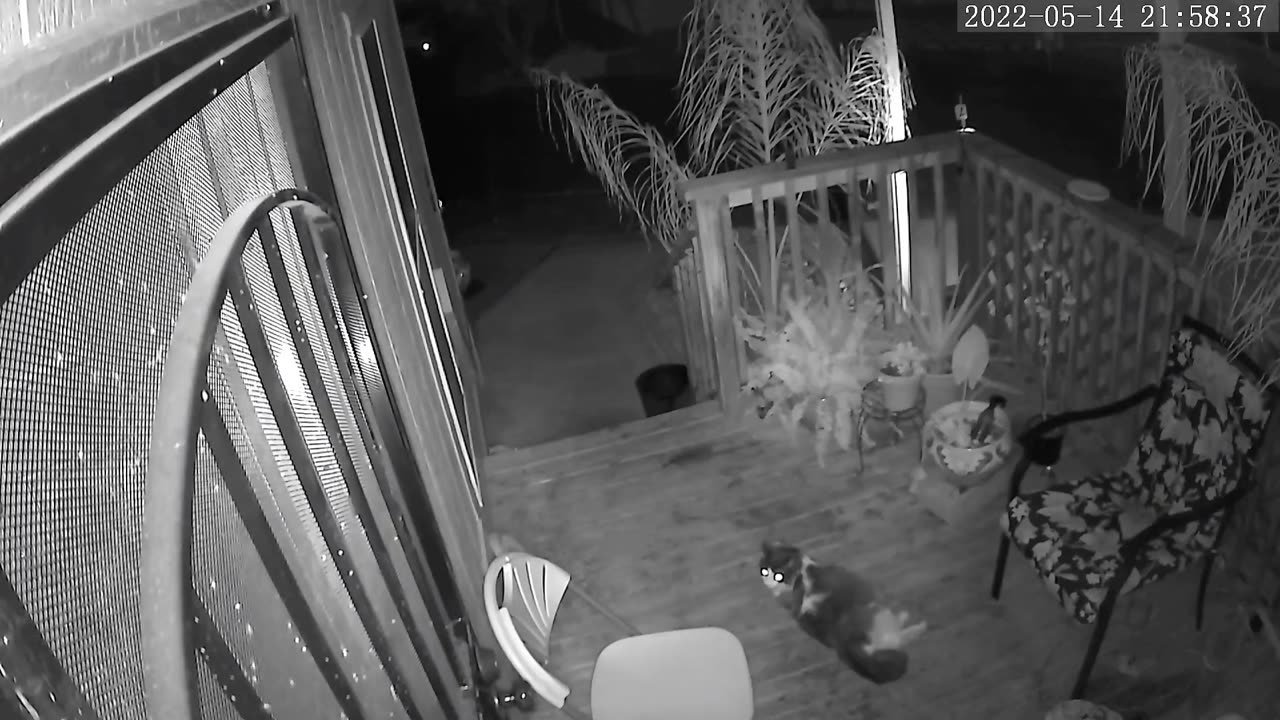 😱👻 Someone Walks Up Stairs?! SO and I heard "someone" walk up our stairs and this is what the camera