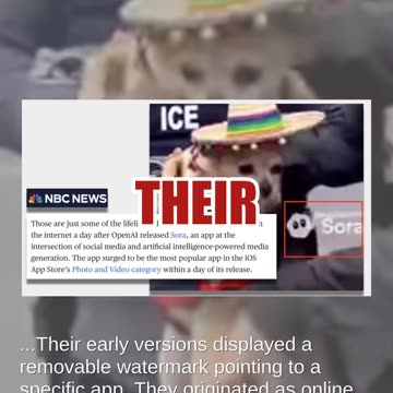 Fact Check: Videos Of ICE Taking Away Cats And Dogs Are NOT Real