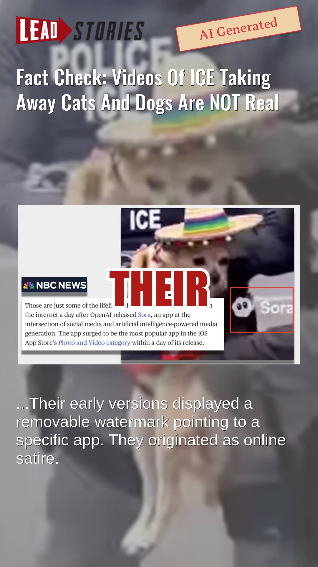 Fact Check: Videos Of ICE Taking Away Cats And Dogs Are NOT Real