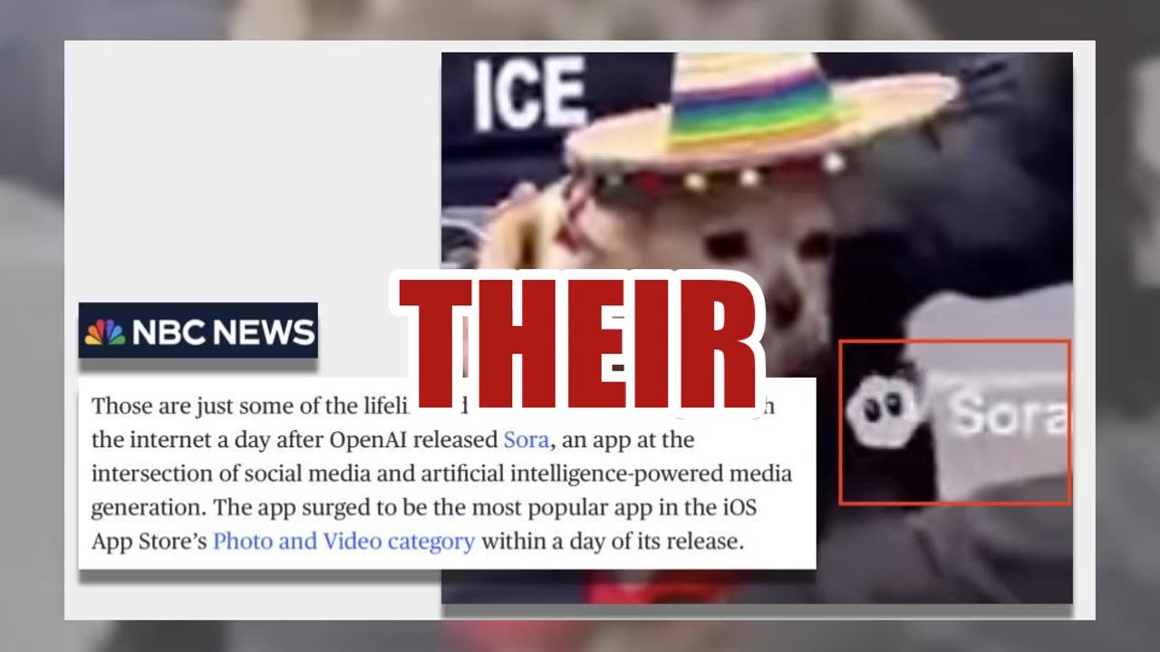 Fact Check: Videos Of ICE Taking Away Cats And Dogs Are NOT Real